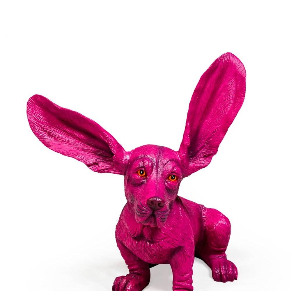 Purple Surprised Basset