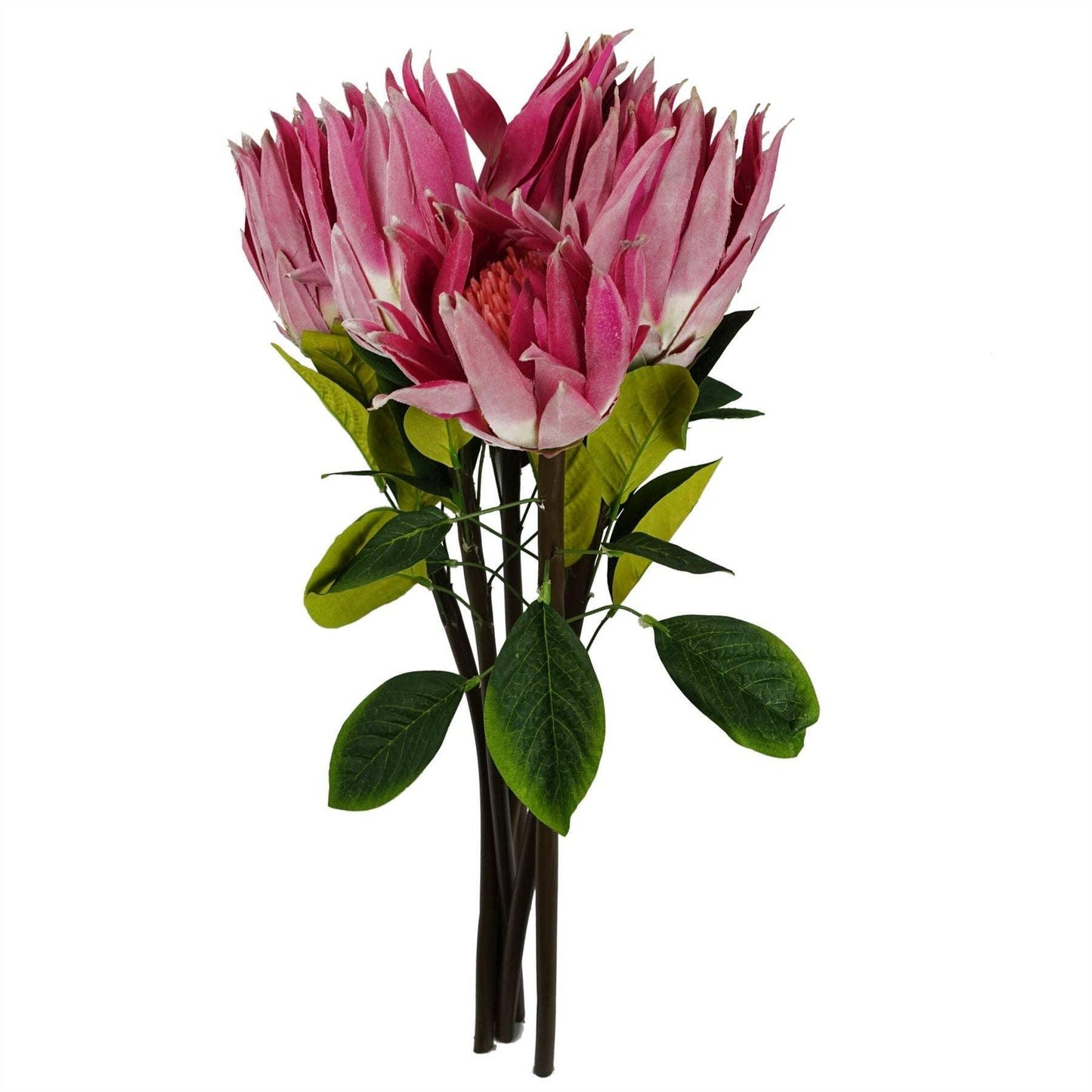 65cm Protea Sugarbush Flower Single Stem - Pink