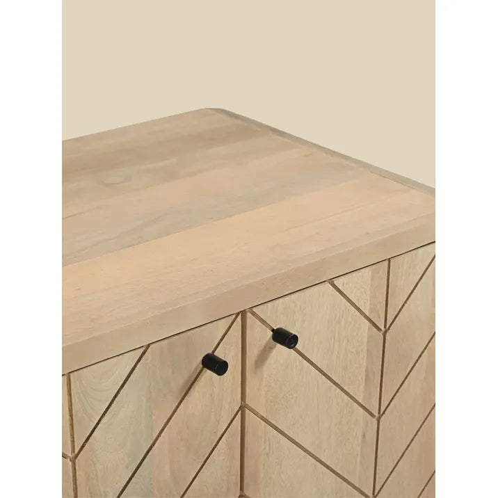 2 Door wooden Mango cabinet