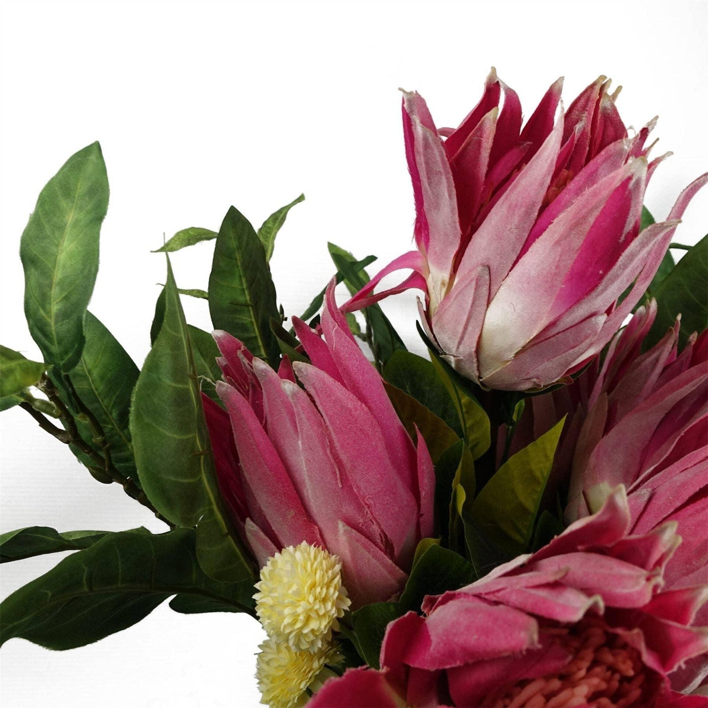65cm Protea Sugarbush Flower Single Stem - Pink