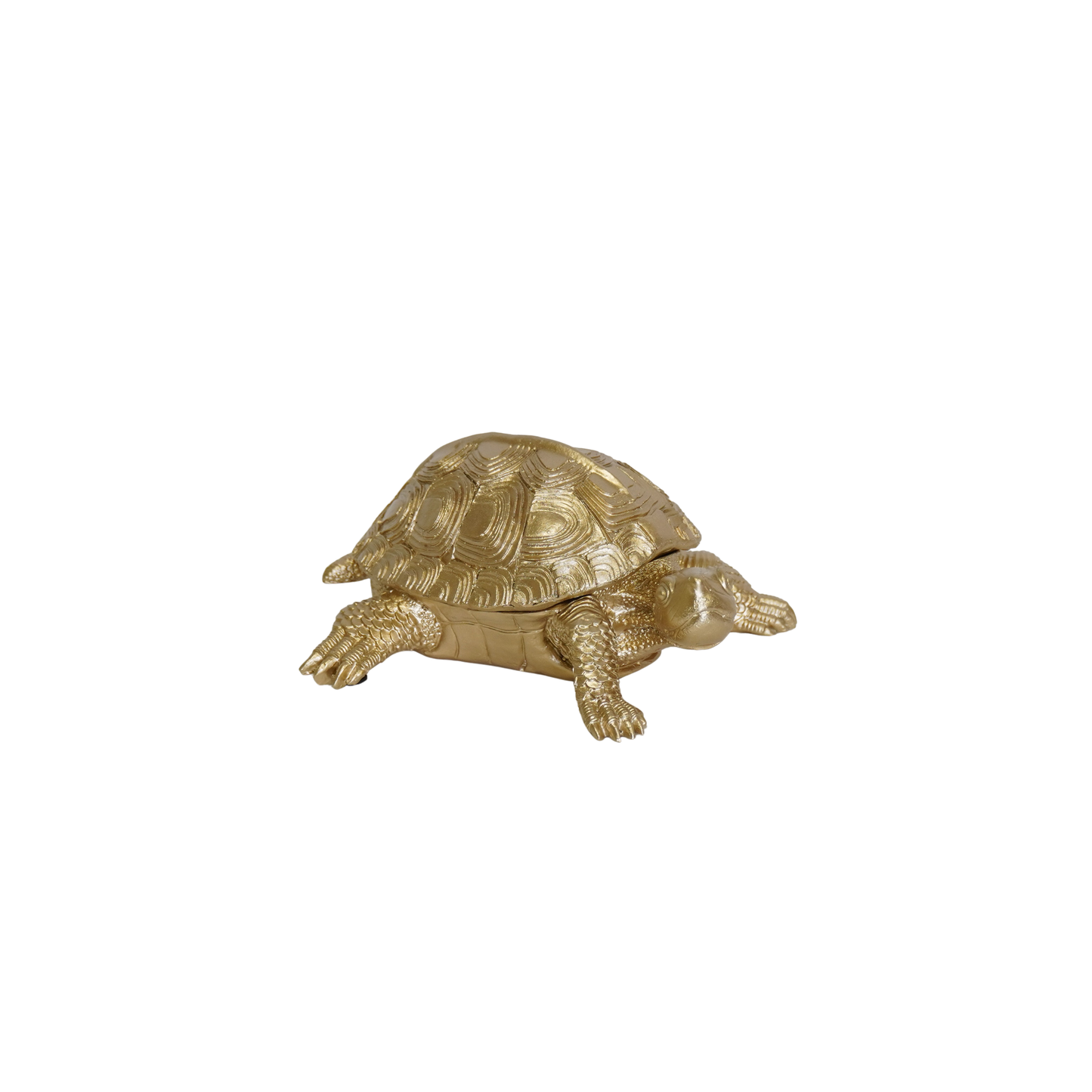 Ornament - Turtle Box - Polyresin -  Gold - 15.5x13.5x7.5cm