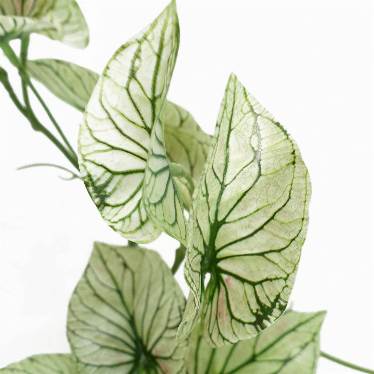 Artificial Trailing Plant Variegated Potted Alocasia