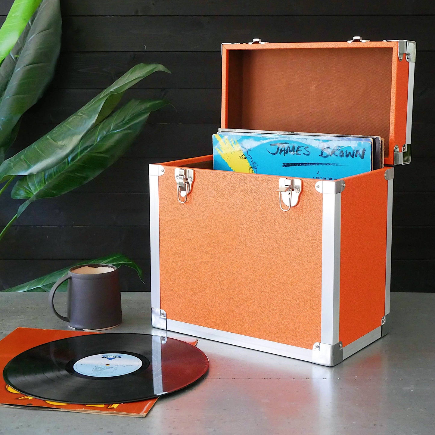 Vinyl Record Storage Case
