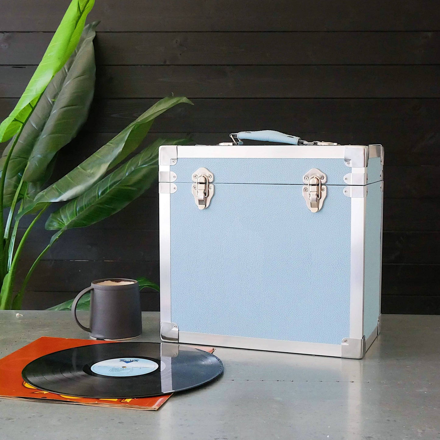 Vinyl Record Storage Case