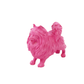 Pomeranian dog Pink