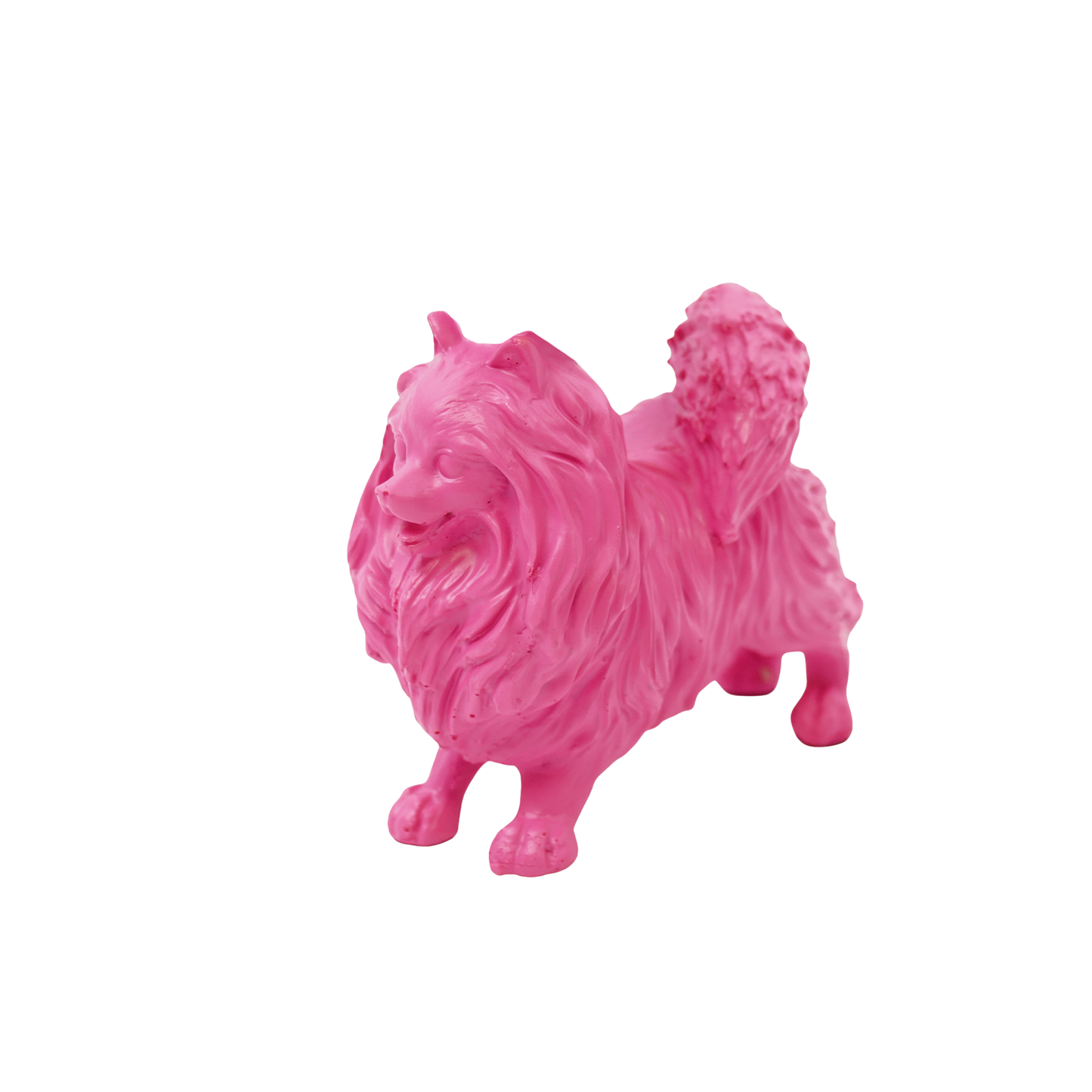 Pomeranian dog Pink