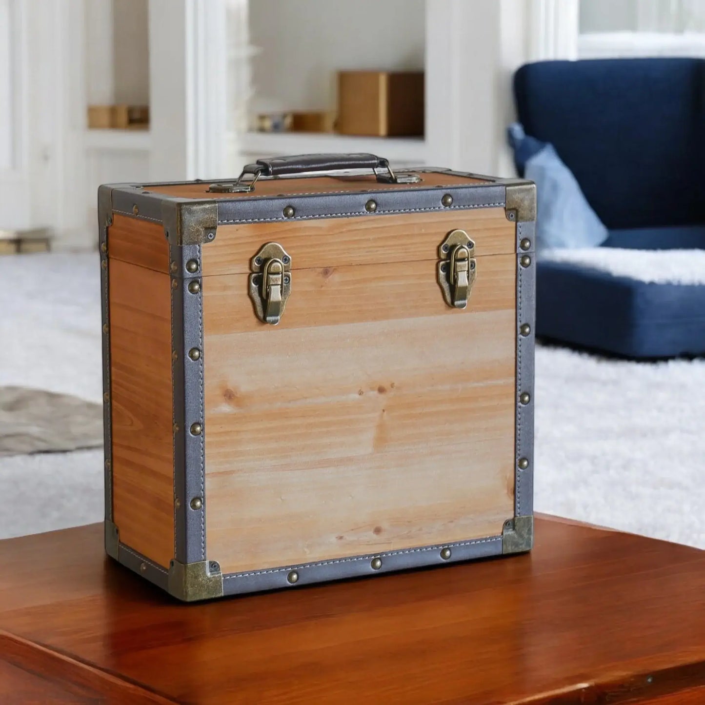 Vinyl Record Storage Case