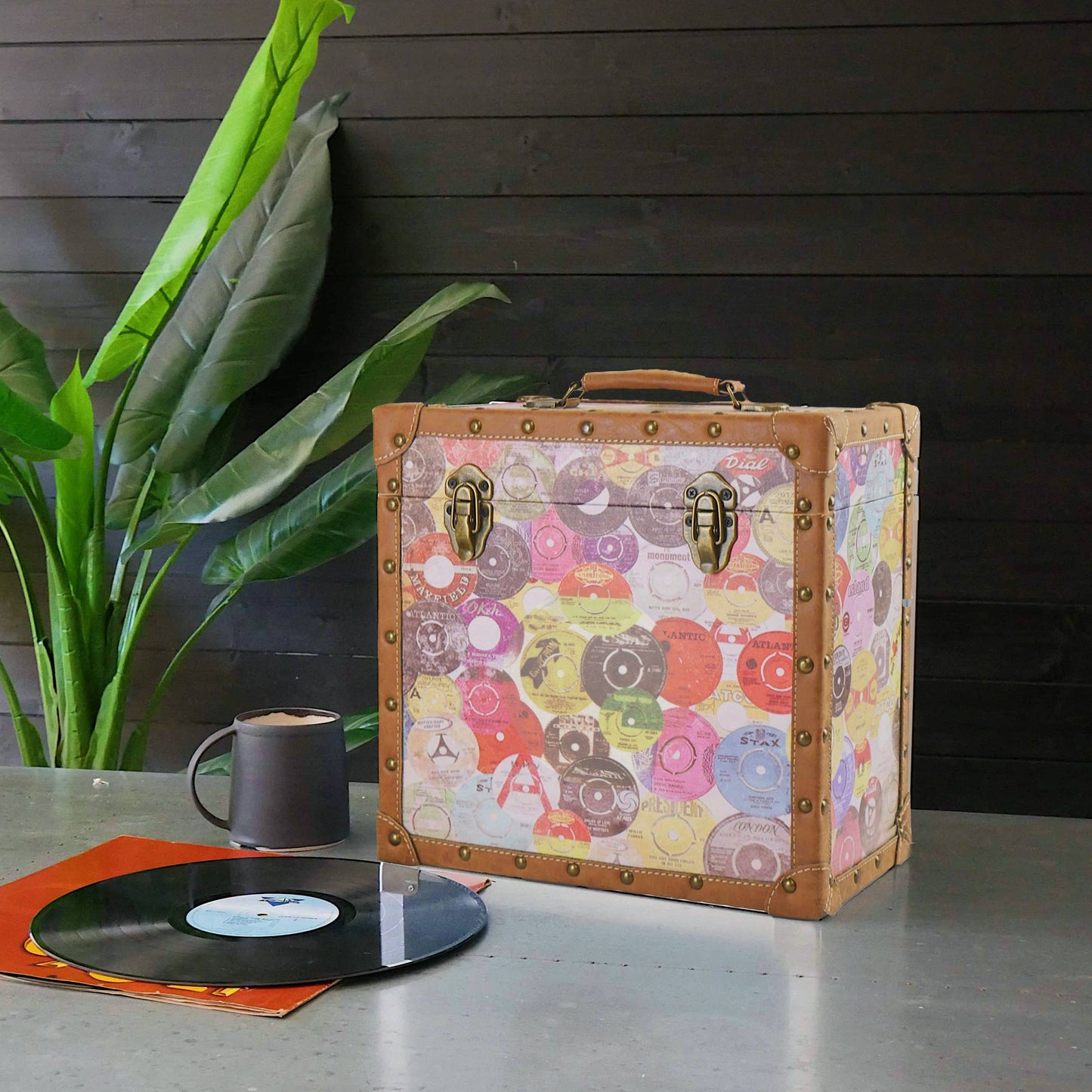 Vinyl Record Storage Case