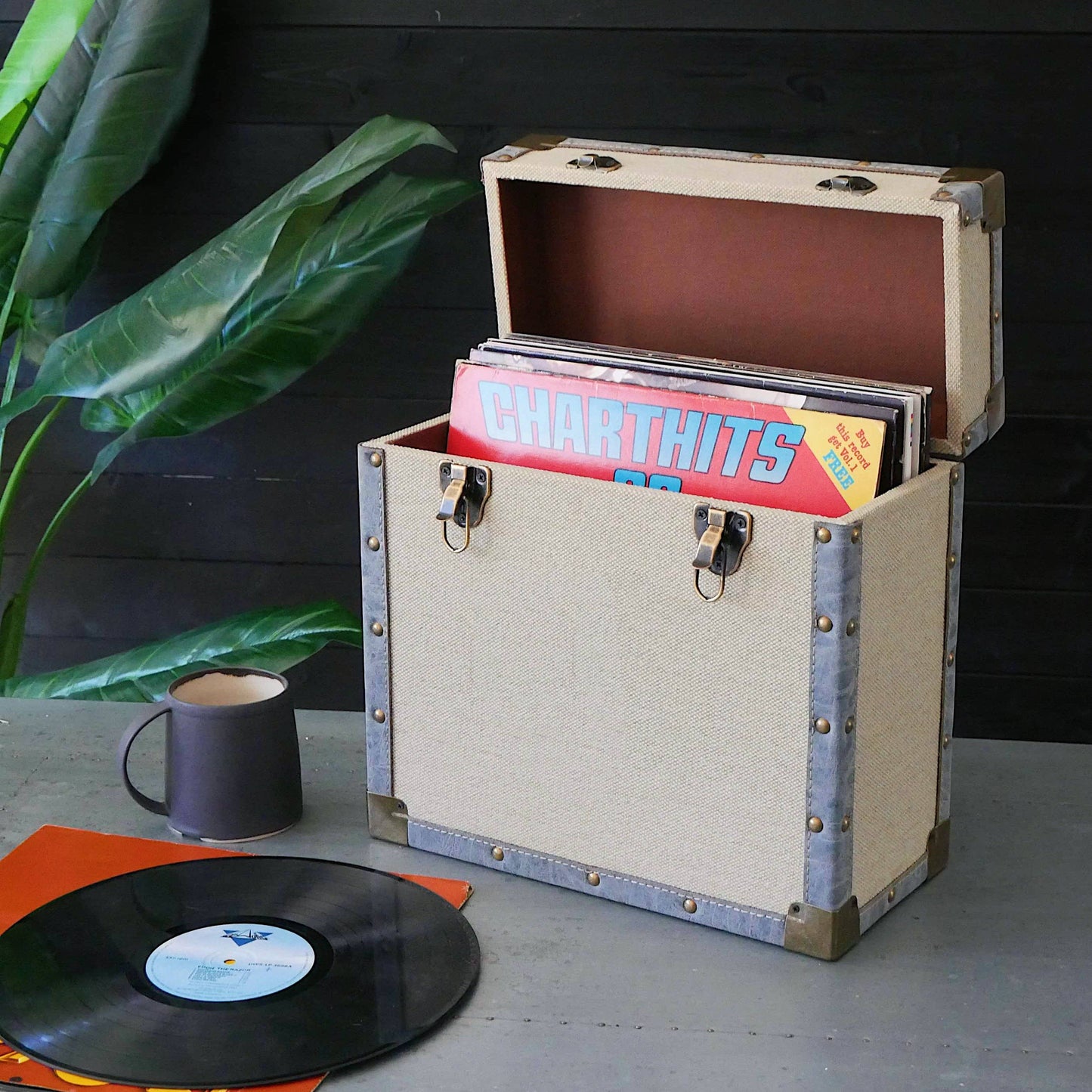 Vinyl Record Storage Case