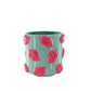 Kiss me Pot Mint & pink