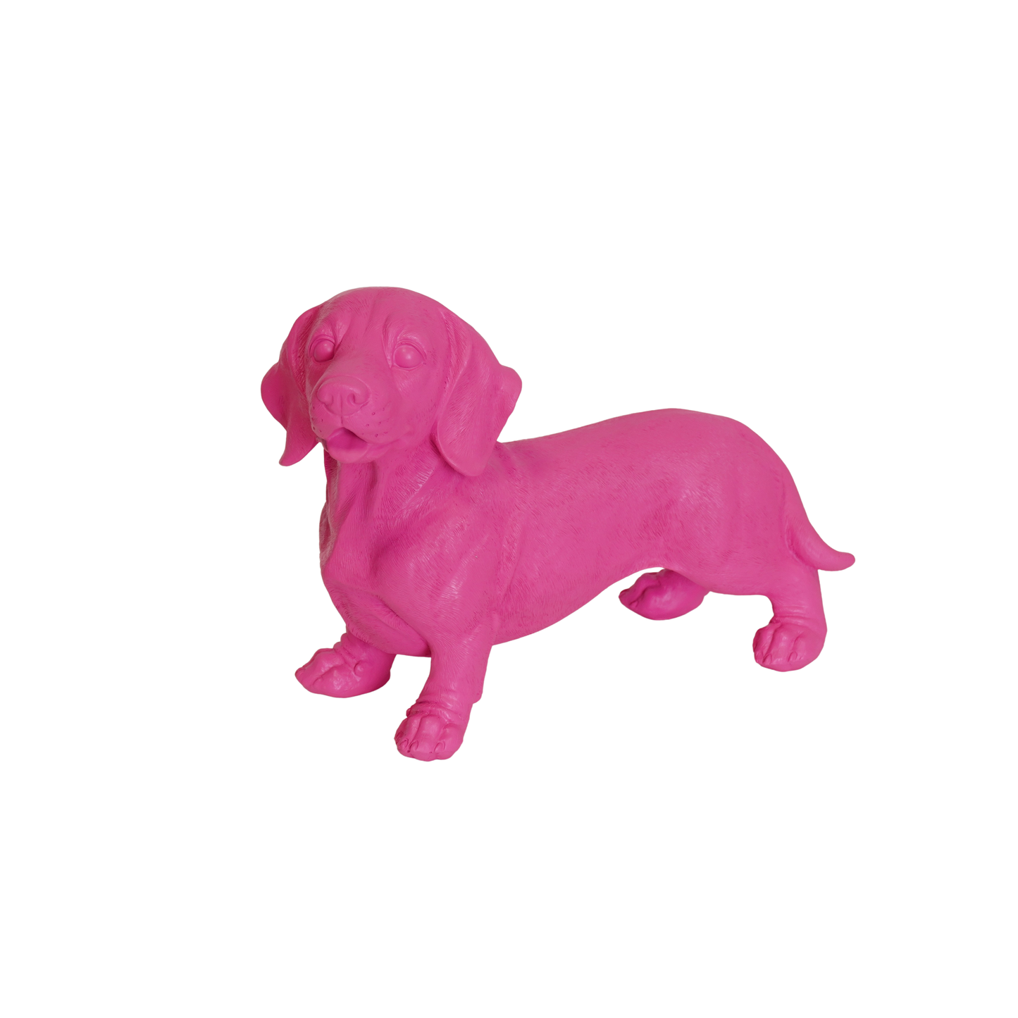 Pink Dachshund