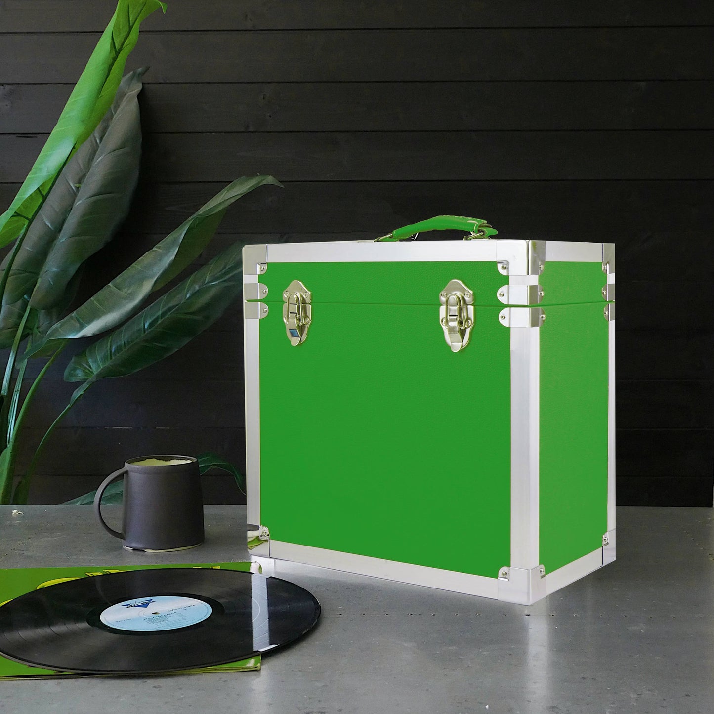 Vinyl Record Storage Case