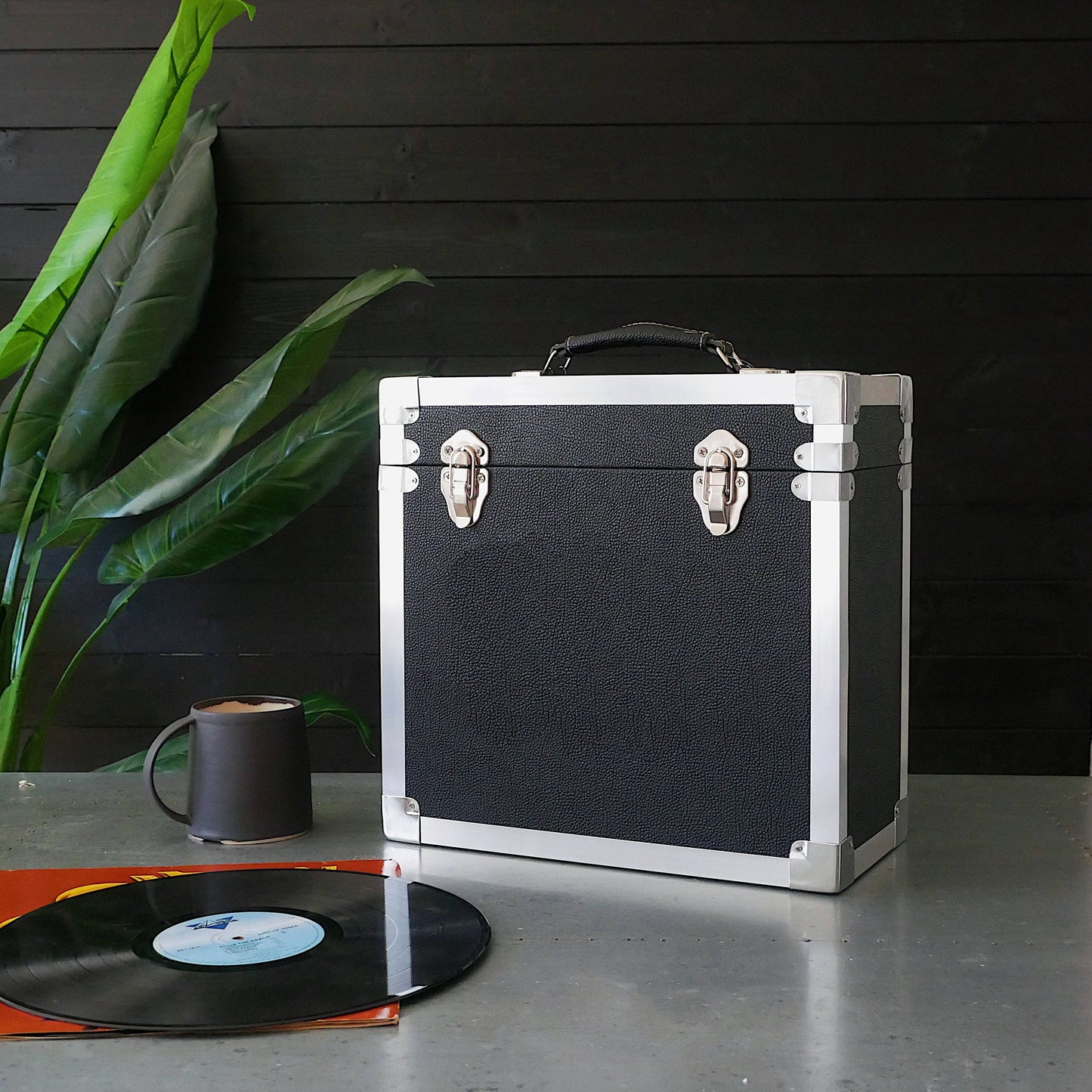 Vinyl Record Storage Case