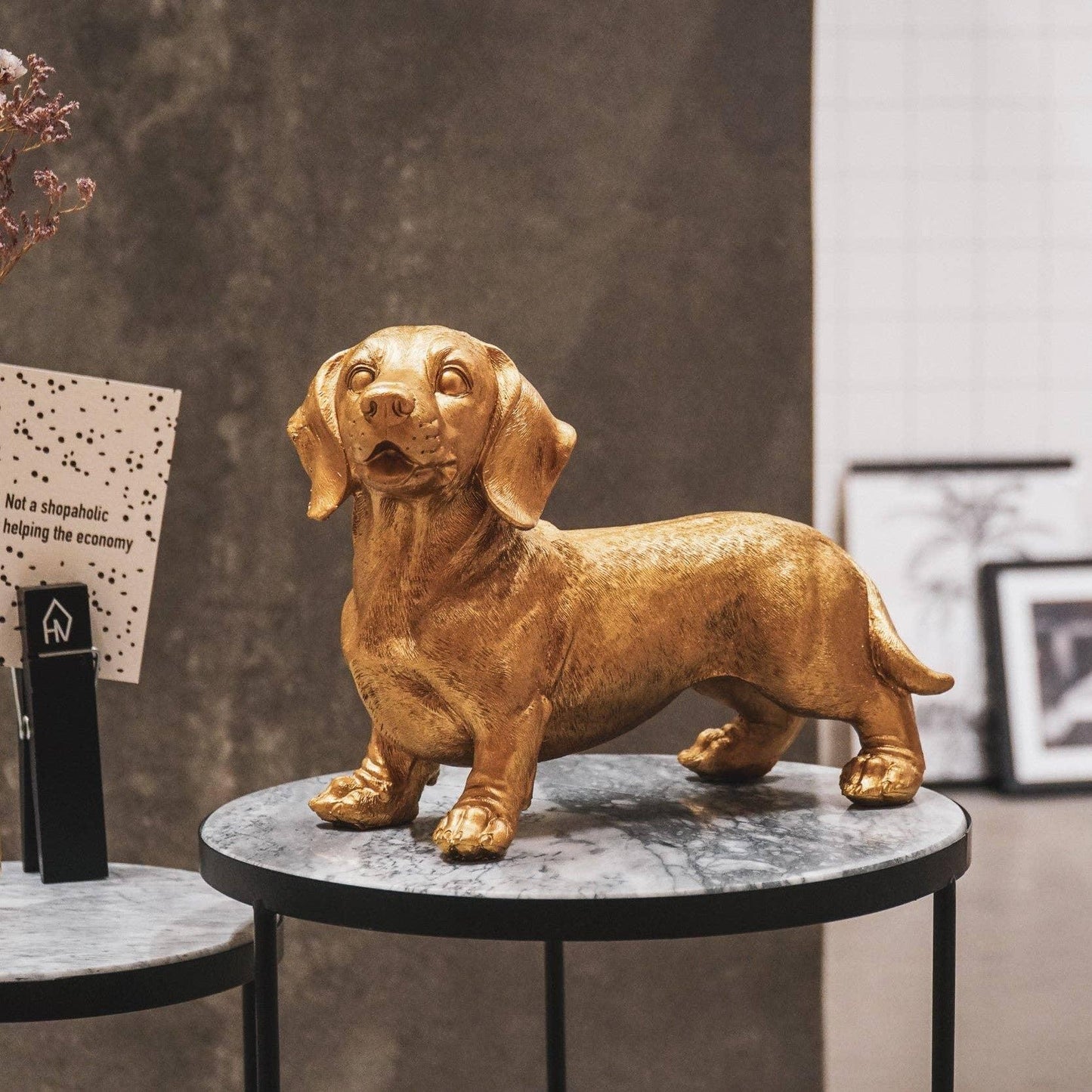 Gold  Dachshund
