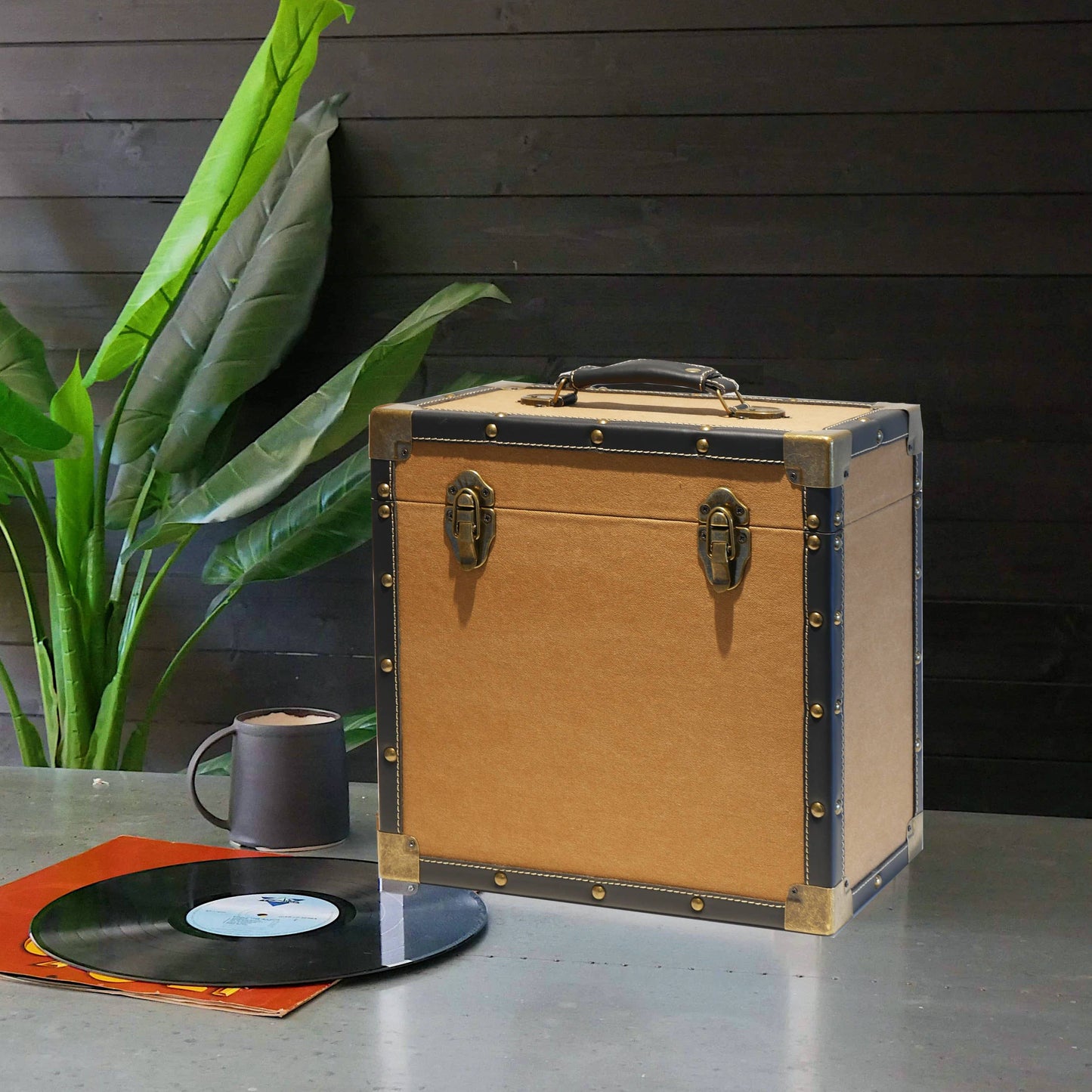 Vinyl Record Storage Case