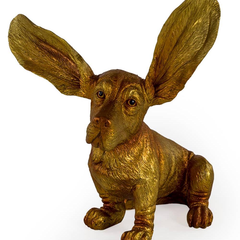 Gold Surprised Basset