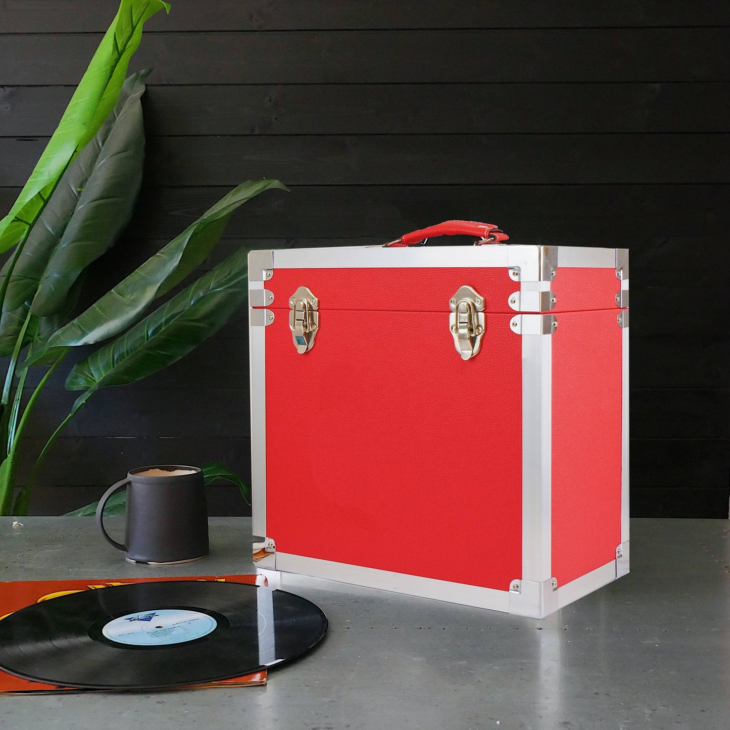 Vinyl Record Storage Case
