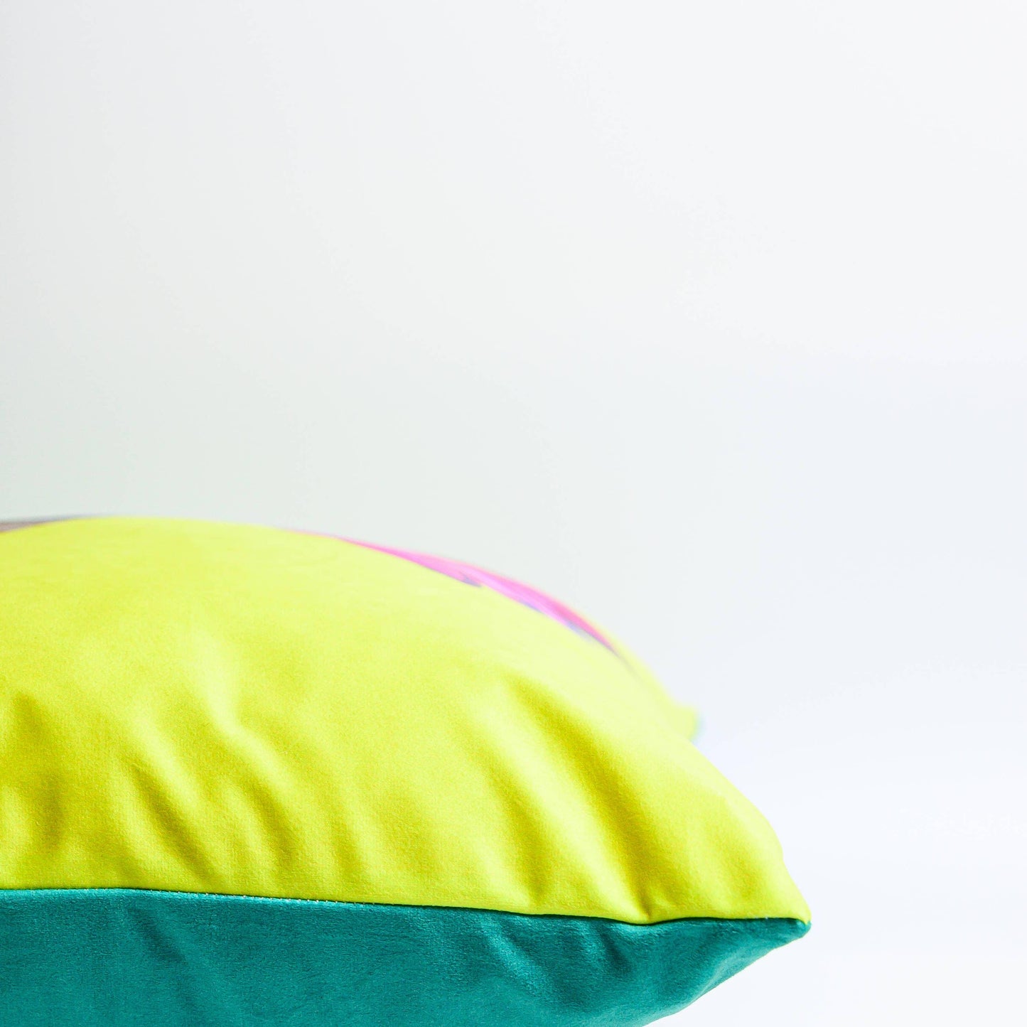 Hummingbird Velvet Cushion
