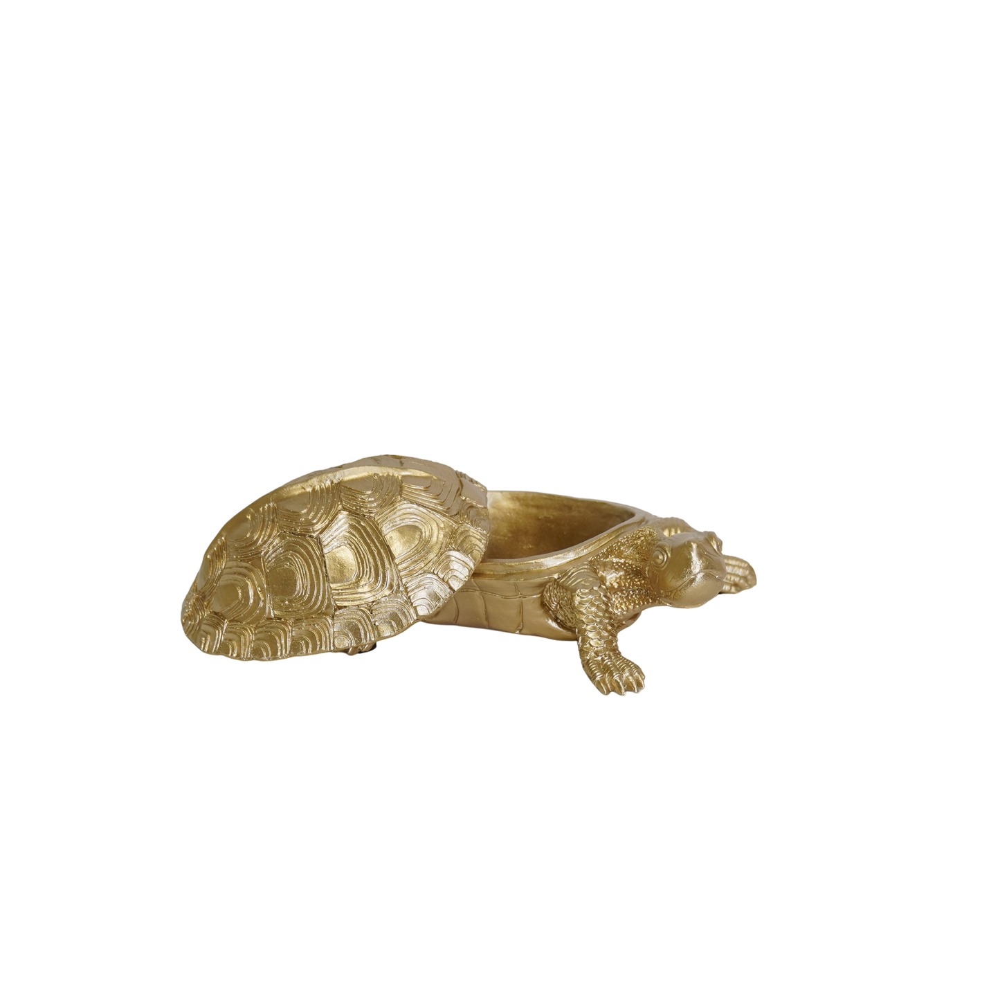 Ornament - Turtle Box - Polyresin -  Gold - 15.5x13.5x7.5cm