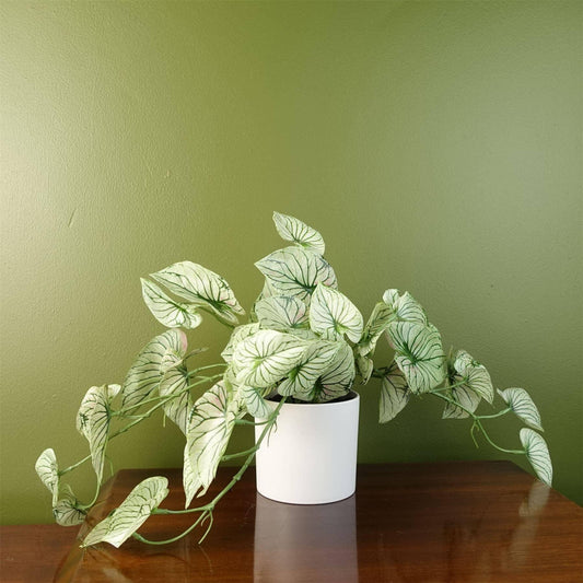 Artificial Trailing Plant Variegated Potted Alocasia