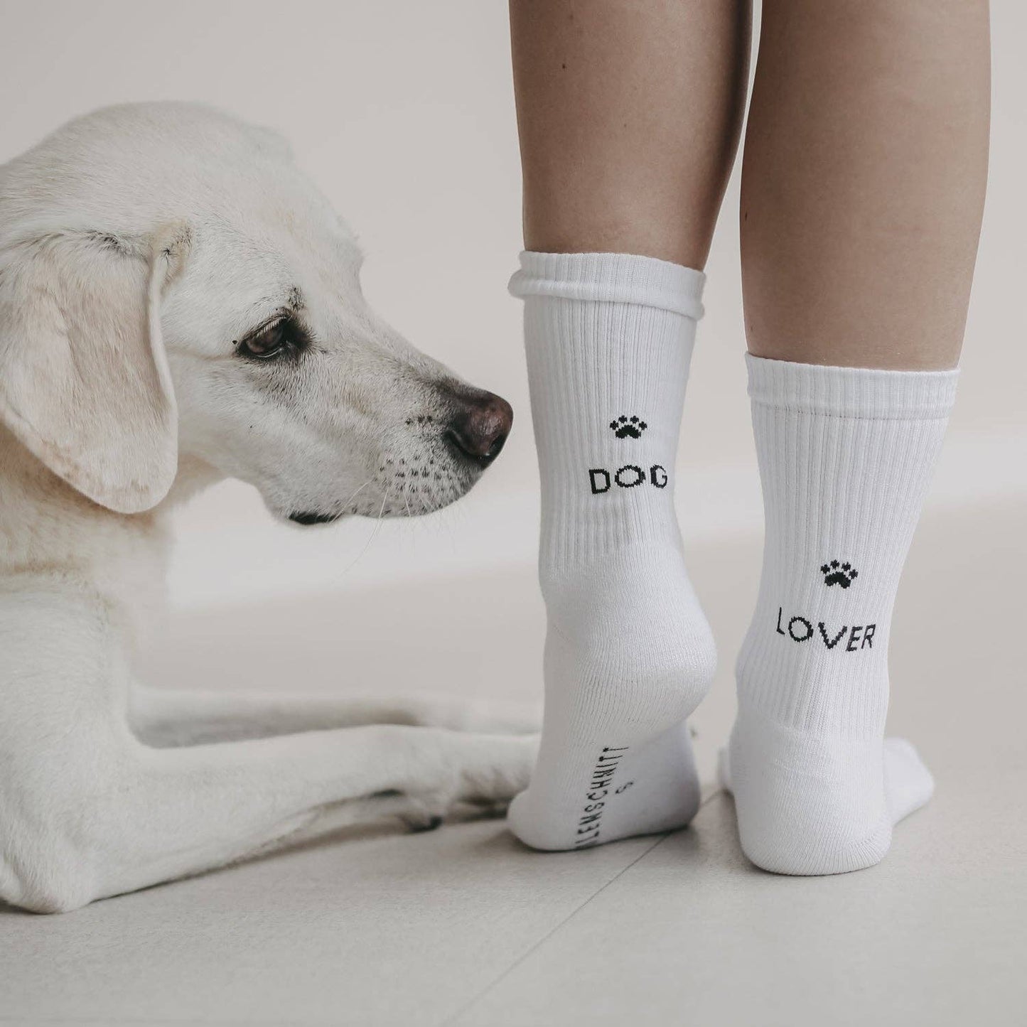 Socks white Dog Lover