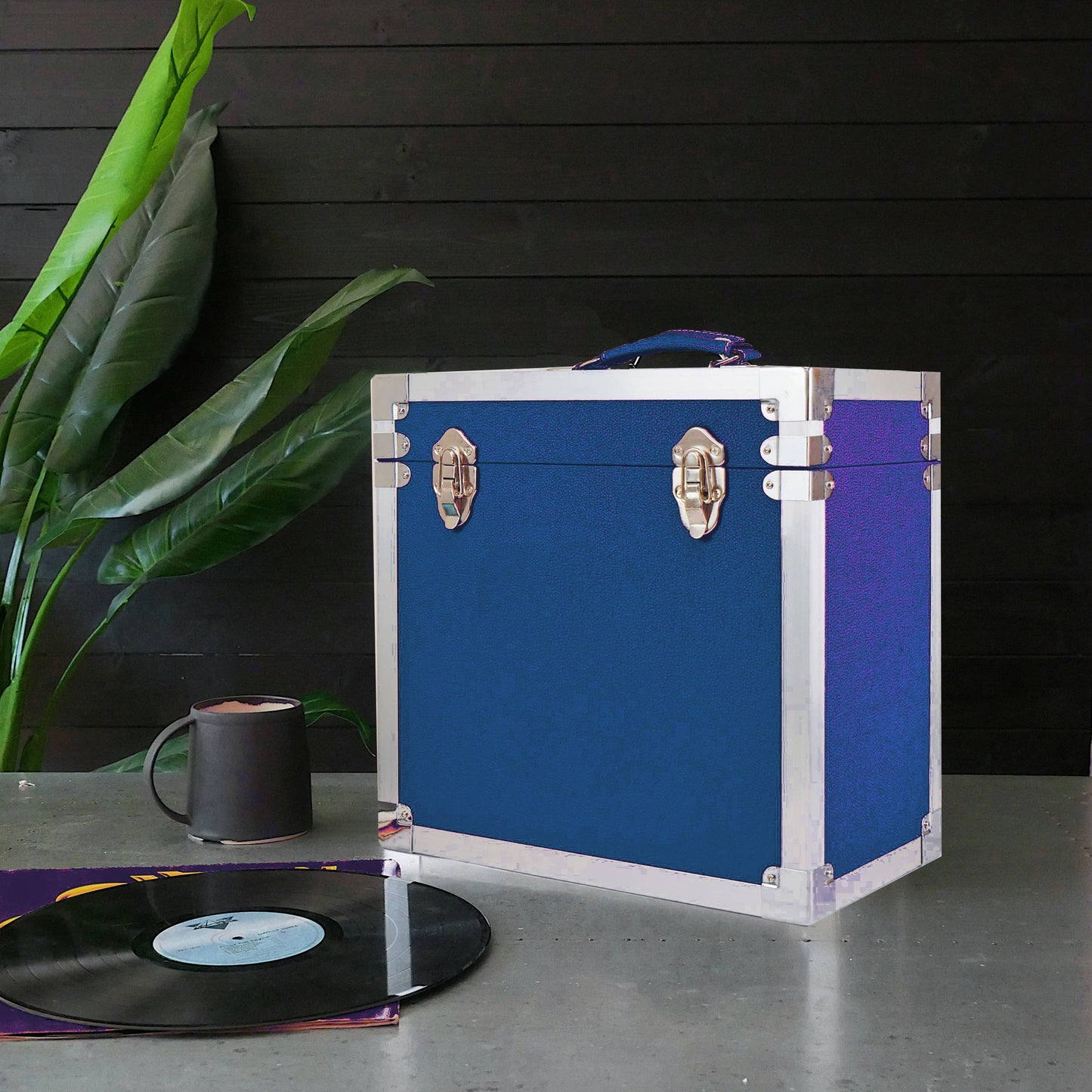 Vinyl Record Storage Case