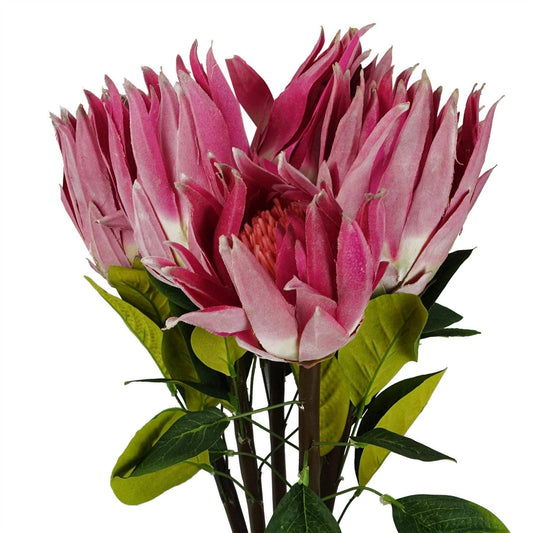 65cm Protea Sugarbush Flower Single Stem - Pink