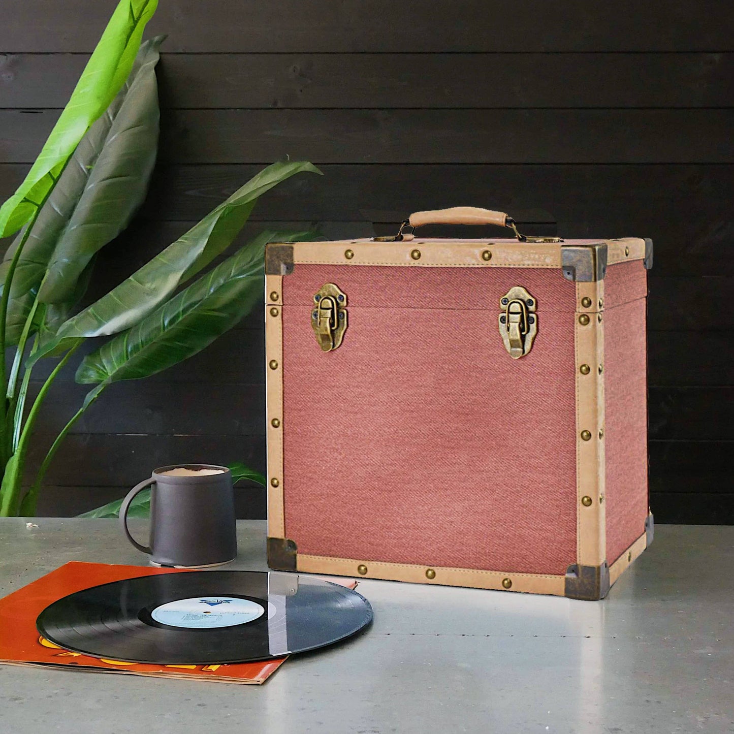 Vinyl Record Storage Case