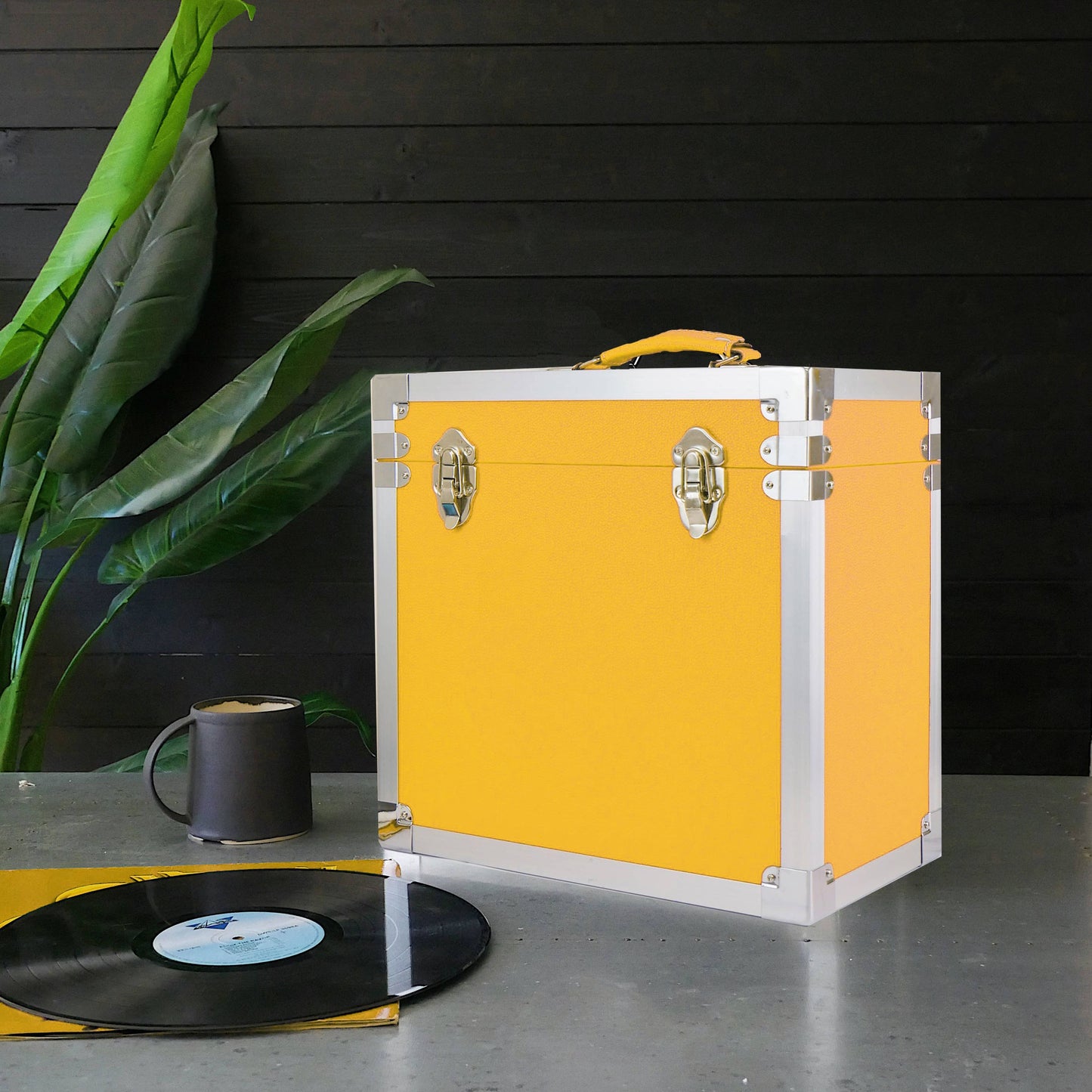 Vinyl Record Storage Case
