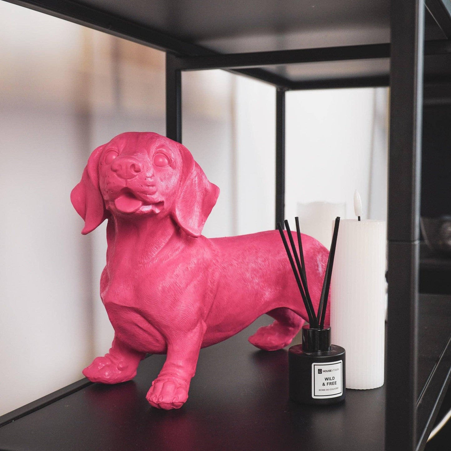 Pink Dachshund