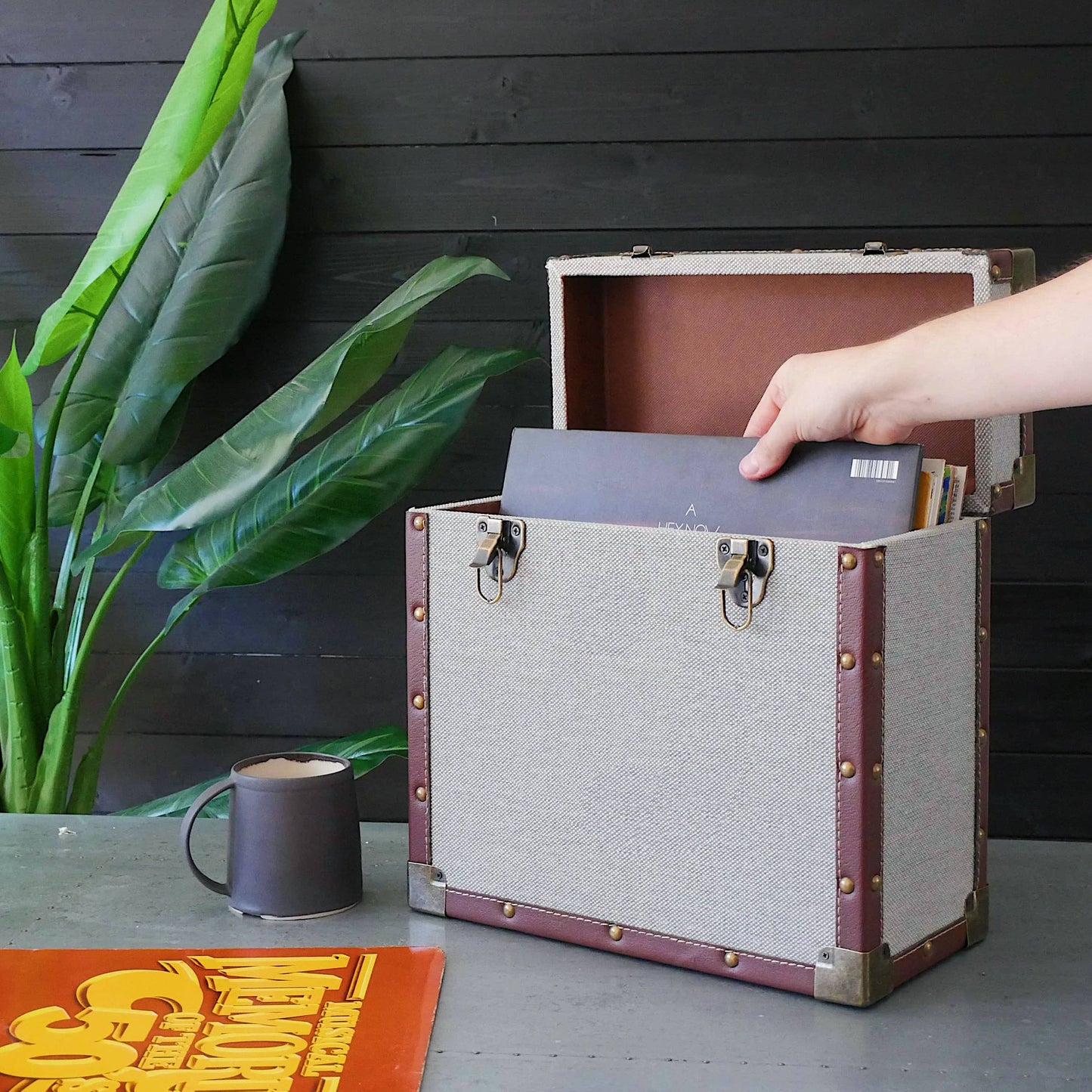Vinyl Record Storage Case