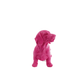 Pink Dachshund