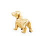 Gold  Dachshund