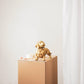 Gold  Dachshund