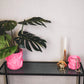 Plant Pot / Vase Dicks - Ceramics  - Neon Pink  -17,5x17,5cm