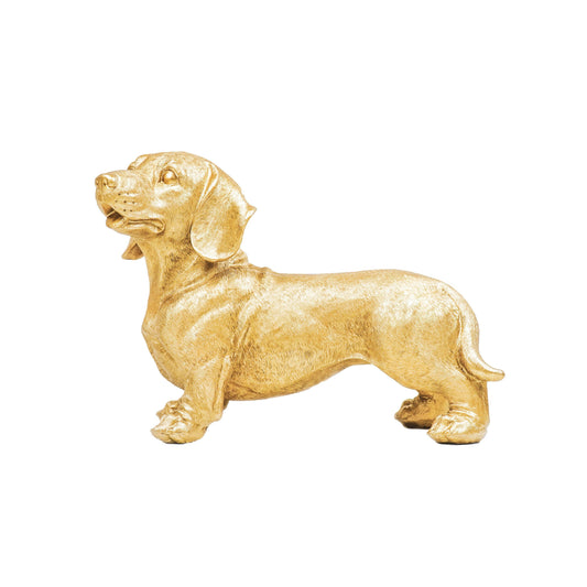 Gold  Dachshund