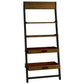 Ladder Shelf