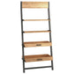 Ladder Shelf